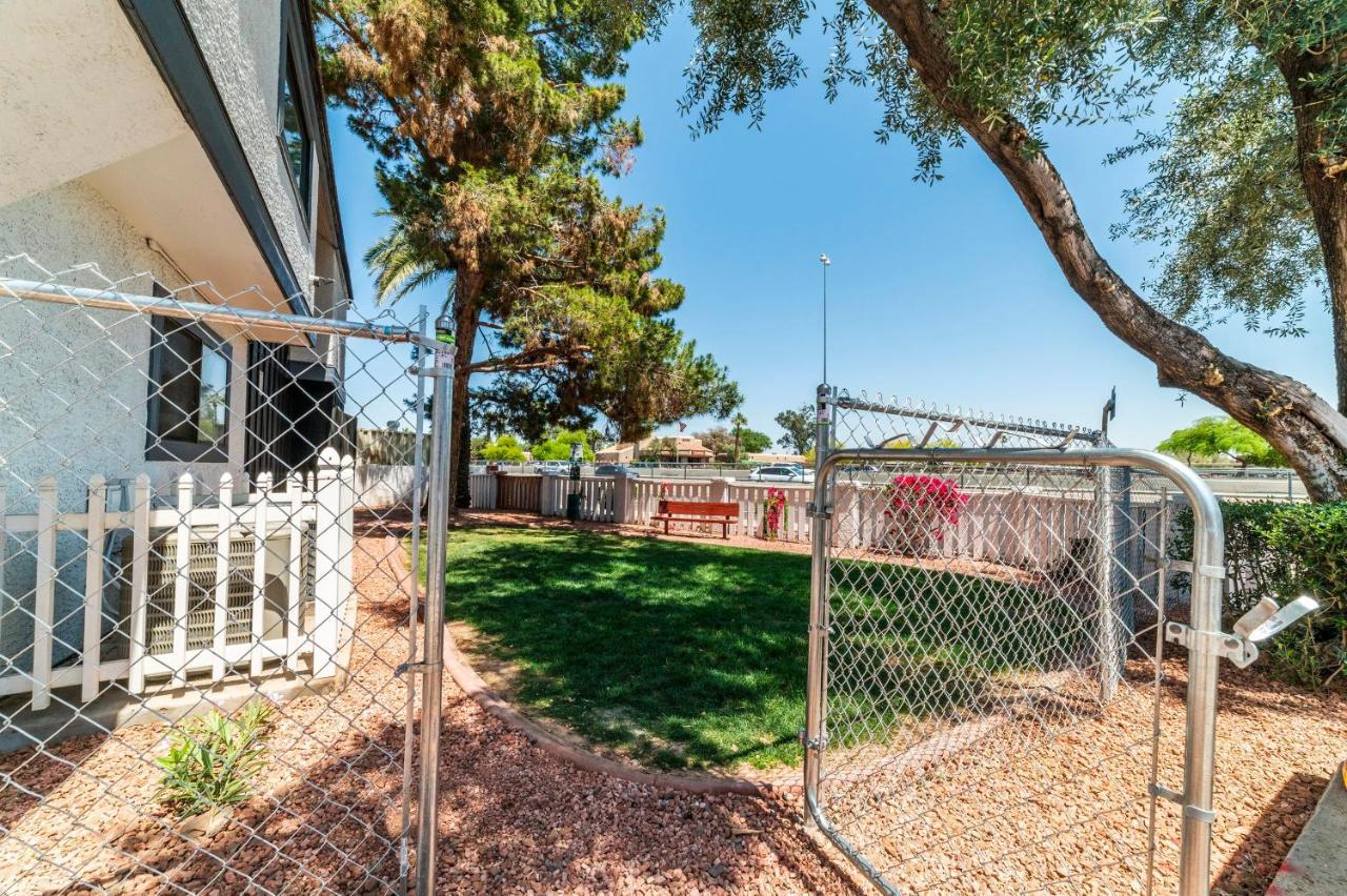 Metro Phx Downstairs Studio Sleeps 4 Ada Accessible Phoenix Zewnętrze zdjęcie