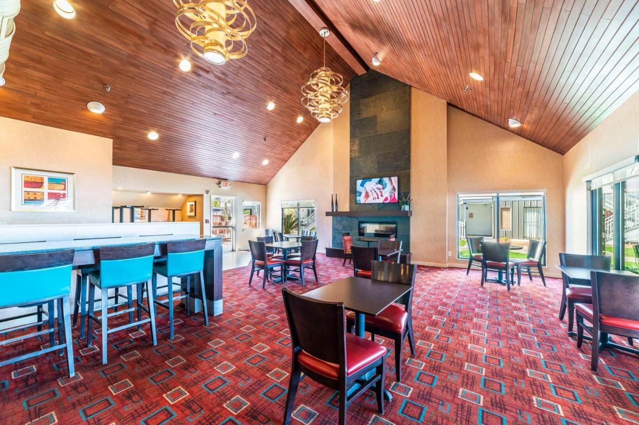 Metro Phx Downstairs Studio Sleeps 4 Ada Accessible Phoenix Zewnętrze zdjęcie