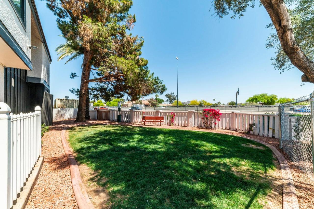 Metro Phx Downstairs Studio Sleeps 4 Ada Accessible Phoenix Zewnętrze zdjęcie